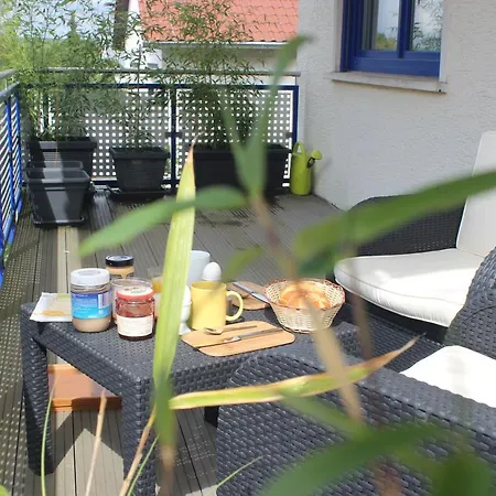 Apartment Ferienwohnung Im Bambushain Nieder-olm Bei Mainz